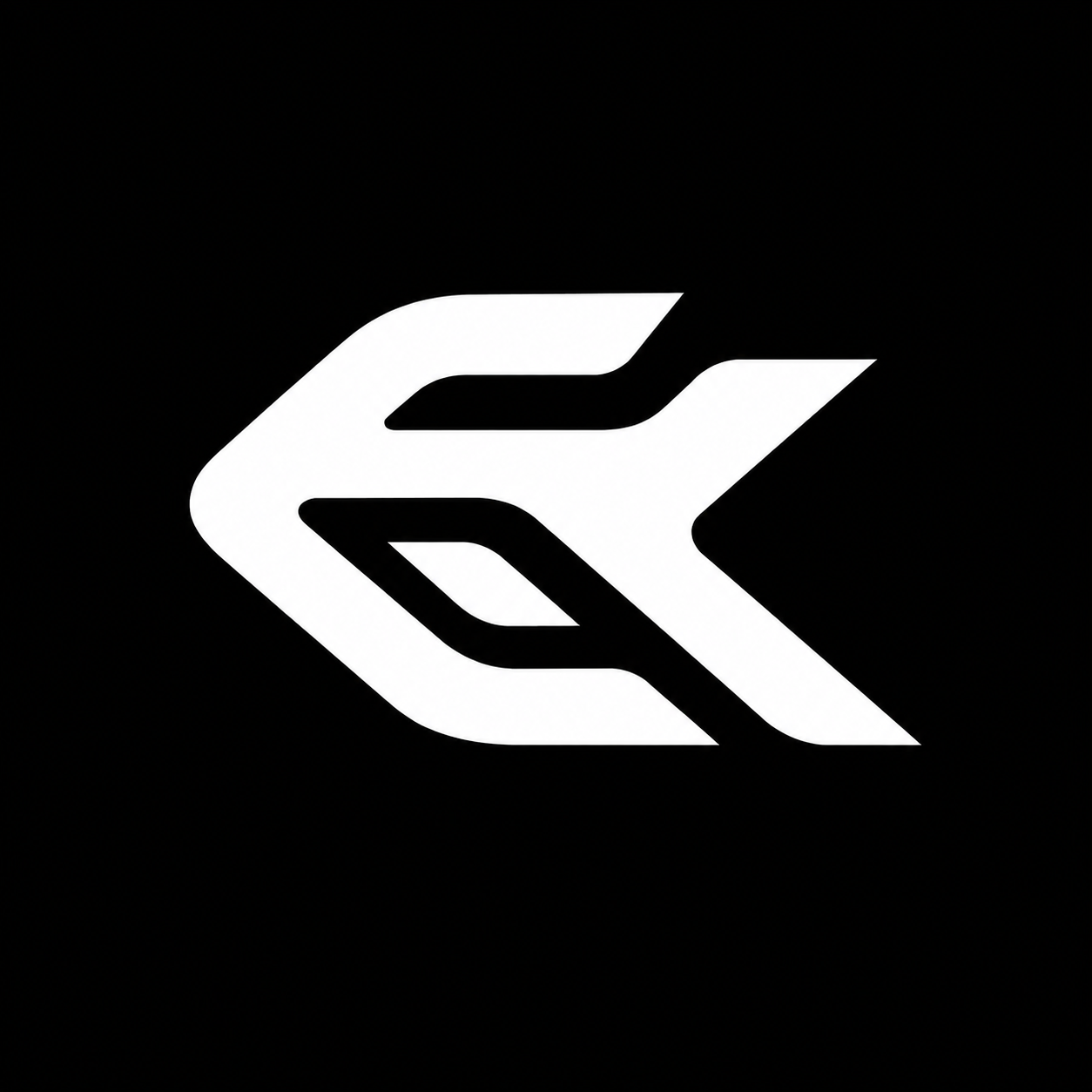 Ekzon